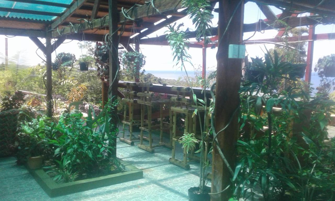 Jungle Of Peace Resort Siquijor Extérieur photo