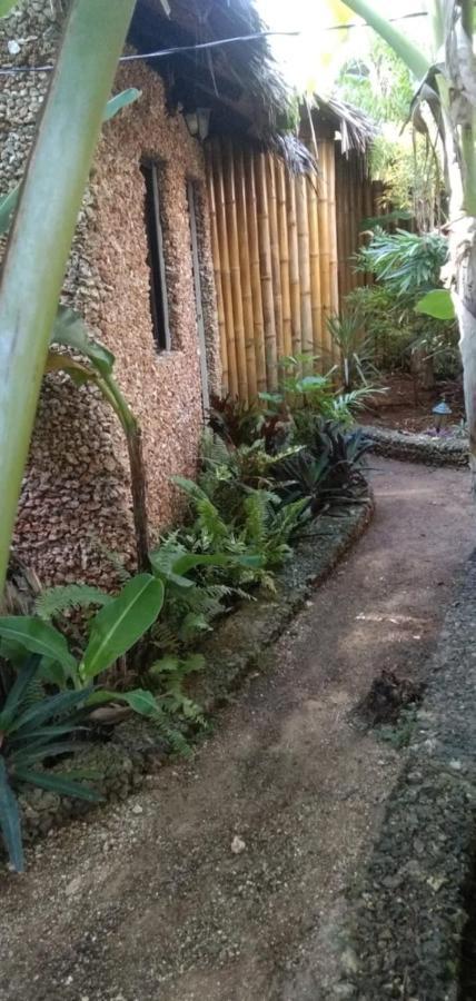 Jungle Of Peace Resort Siquijor Extérieur photo